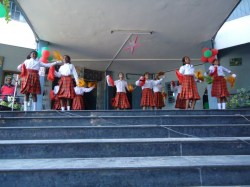 Nirmala Rani High School Galley Image 4