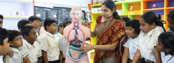 Oak Valley International School Galley Image 3