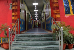 petals world school Galley Image 2