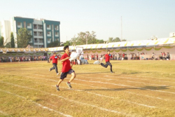 ಶಾಲೆಯ ಗ್ಯಾಲಿ ಚಿತ್ರ