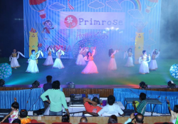 PRIMROSE play school Galley Image 2