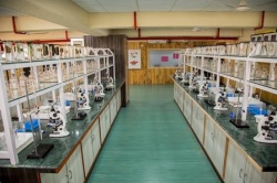 Rainbow International School Galley Image 3