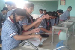 Royal Oak International School Galley Image 3