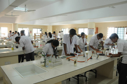 Royale Concorde International School Galley Image 4