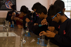Sant Sujan Singh Ji International School Galley Image 3
