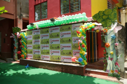 Shemrock Global Wisdom Galley Image 3
