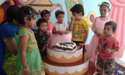 SHEMROCK Lalita Galley Image 4