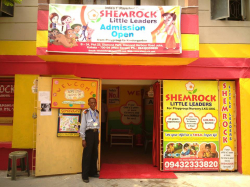 SHEMROCK Little Leaders Galley Image 2