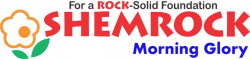 Reggio Emilia Play schools in Noida, Yo Poppins Play School And Day Care, BR-7 , Sector 45, Sadarpur,Sector-45, Noida