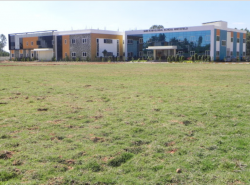 Shri Ram Global School Galley Image 4