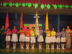 Silver Line Prestige School Galley Image 3