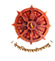 Smt. Sulochanadevi Singhania School Galley Image 1
