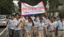 Spring Days Senior Secondary School Galley Image 4