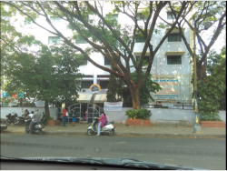 SRI RAMA VIDYALAYA Galley Image 2