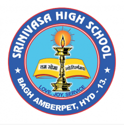 State Board Schools in Kachiguda, Hyderabad, Srinivasa High School, 2-2-1075/13/A, Bagh Amberpet, Amberpet, Hyderabad