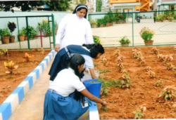 పాఠశాల గాలీ చిత్రం