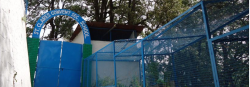St Clares Convent School Gallery Image 4