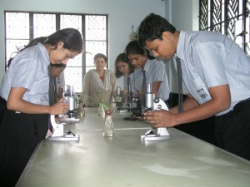 St. Francis Xavier School Galley Image 3