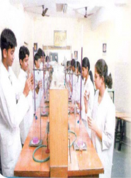 ST GIRI PUBLIC SCHOOL Galley Image 4