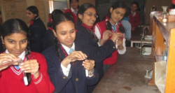 St. Johns Academy Galley Image 4