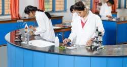 St. Johns Public School Senior Secondary Galley Image 3