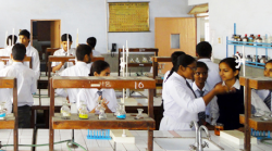 St. Joseph Academy Galley Image 4
