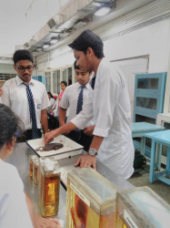 ST MARGARET SENIOR SECONDARY SCHOOL Galley Image 4