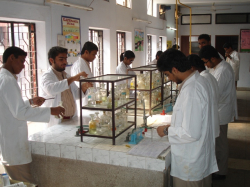 St. Pauls School Galley Image 3