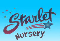 Pre schools, Playschools schools in Murugeshpalya, Bangalore, STARLET NURSERY, #274/B, 5th Cross ,HAL 3rd Stage, Stage 3,New Tippasandra, Bengaluru