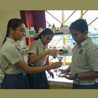 Sun Flower School Galley Image 2