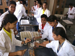 Surevin International School Galley Image 4