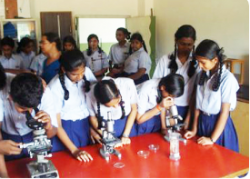 Tejasvi Vidyaranya Galley Image 4