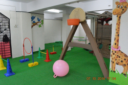 The Learning Curve Gallery Image 2