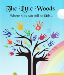 Best Day Care Centres in Jeevanbheema Nagar, Bangalore, THE LITTLE WOODS PRESCHOOL, 116/2, 10th Main Rd, Malleshpalya, Kaggadasapura, Malleshpalya,Kaggadasapura, Bengaluru