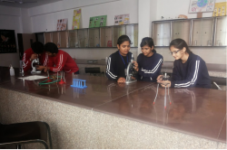 The Maurya School Galley Image 4