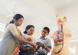 T.I.M.E School Galley Image 3