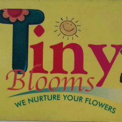 Pre schools, Playschools schools in Vaishali Sector 3, Ghaziabad, TINY BLOOMS PLAY SCHOOL, 357,ABHAY KHAND-III, NEAR ST. FRANCIS SCHOOL,   INDIRAPURAM, Abhay Khand,Indirapuram, Ghaziabad