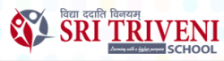 Sri Triveni High School Galley Image 2