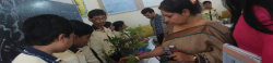 Vandana International Senior Secondary School Galley Image 4