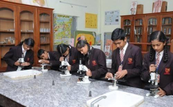 Vidya Vahini School Gallery Image 2