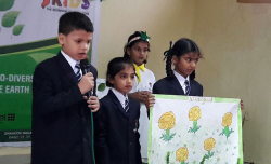 VIPS INTERNATIONAL SCHOOL Galley Image 4