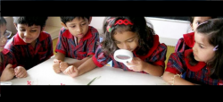 VIVERO International Pre-School Galley Image 2