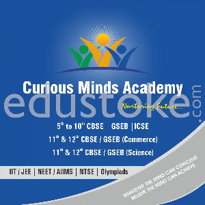 Curious Minds Academy